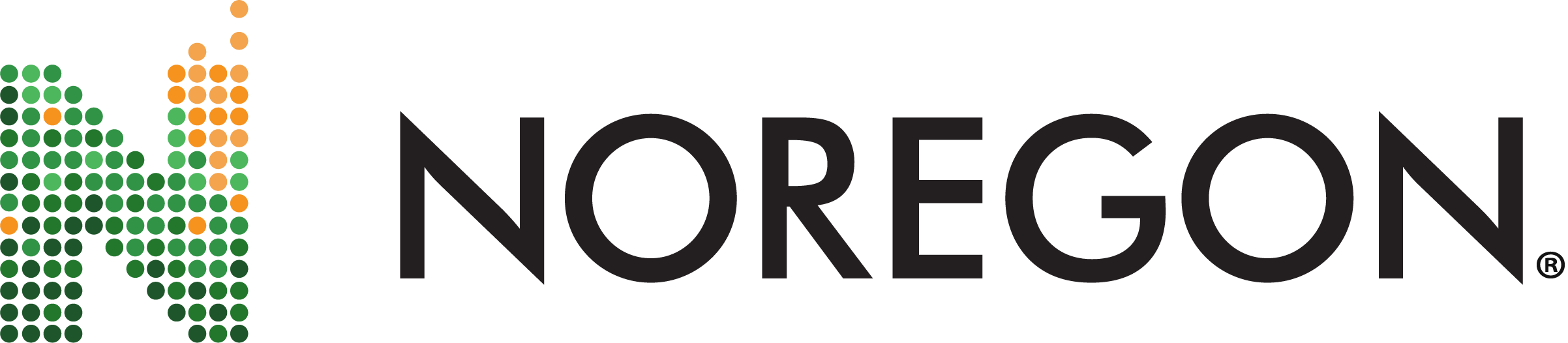 Logo for Noregon